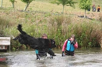 Photograph of a Black Newfoundland leaping into a lake from a jetty