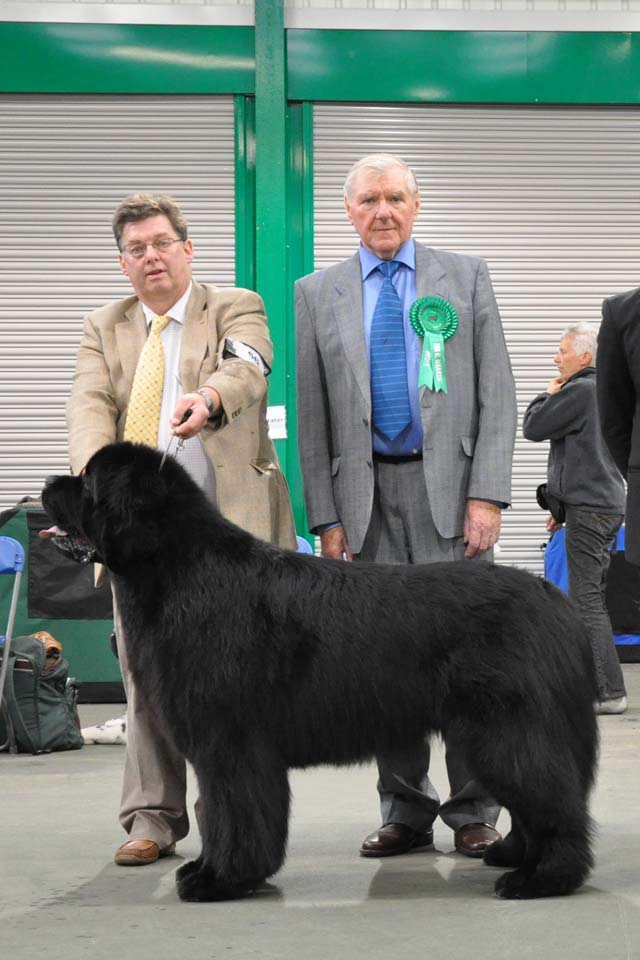 Best In Show winner, Ch., Ir. Ch. Fairweathers's Knockout with Brooklynbear