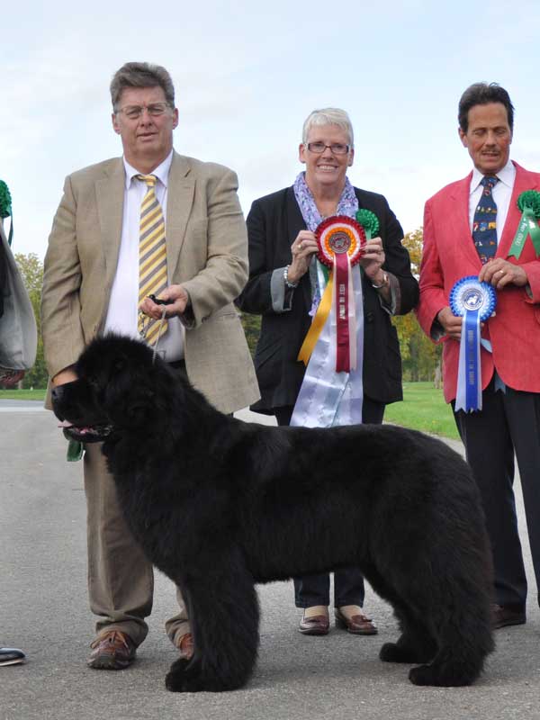 Photograph of the Best In Show winner, Ch., Ir. Ch. Brooklynbear Picasso