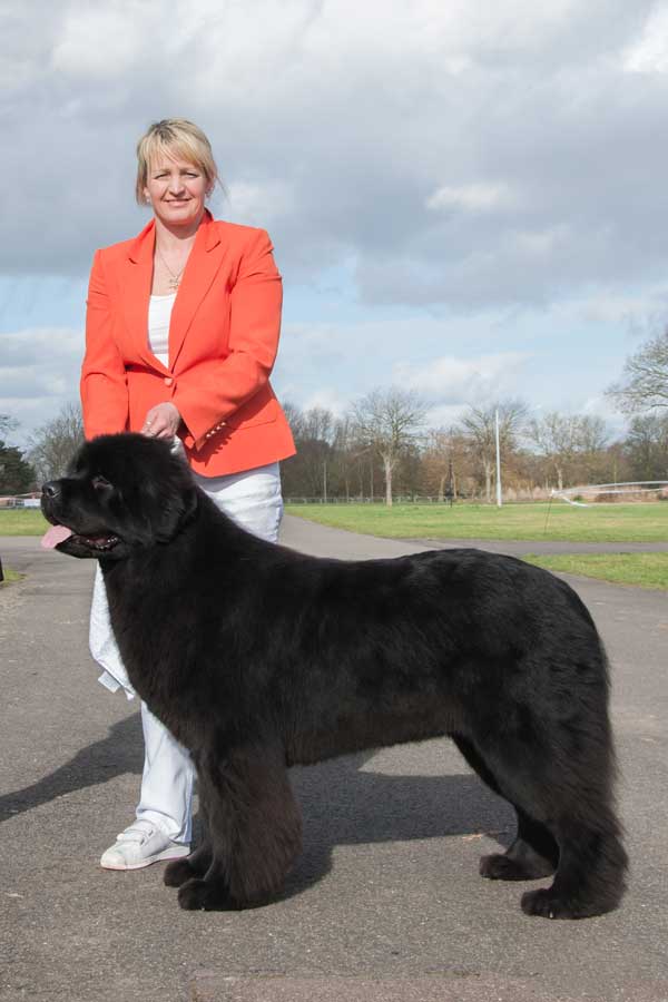 Photograph of the Best In Show winner, Sandbears Got Attitude