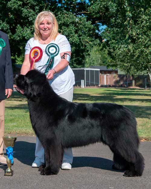 Photograph of the Best In Show winner, Merrybear D'Artagnan with Lyn Chapman