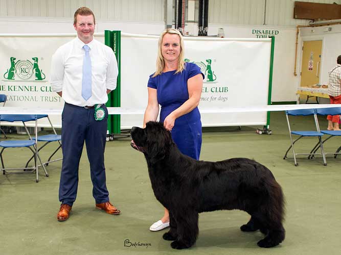 Best In Show winner, Ch. Nandobears I'm What I'm Camnoire with judge Mr. Willaim Dobbin Jnr.