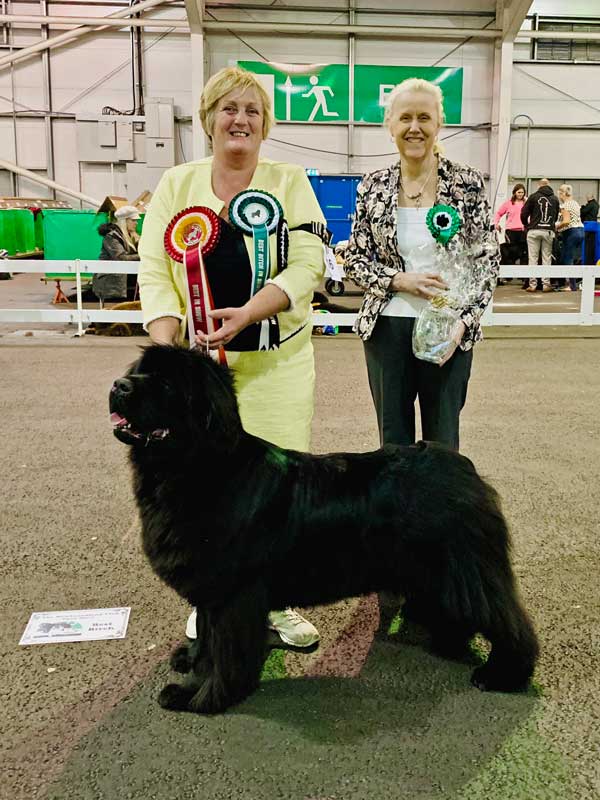 Best In Show winner, Nandobears Happy Heart And Soul (Imp Deu) JW with handler Jan Groves.