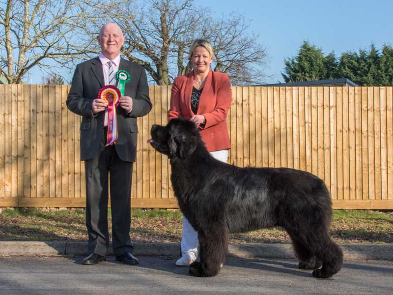 Best In Show winner, Sandbears On The Money with judge Mr. John Purnell (Yikasown)