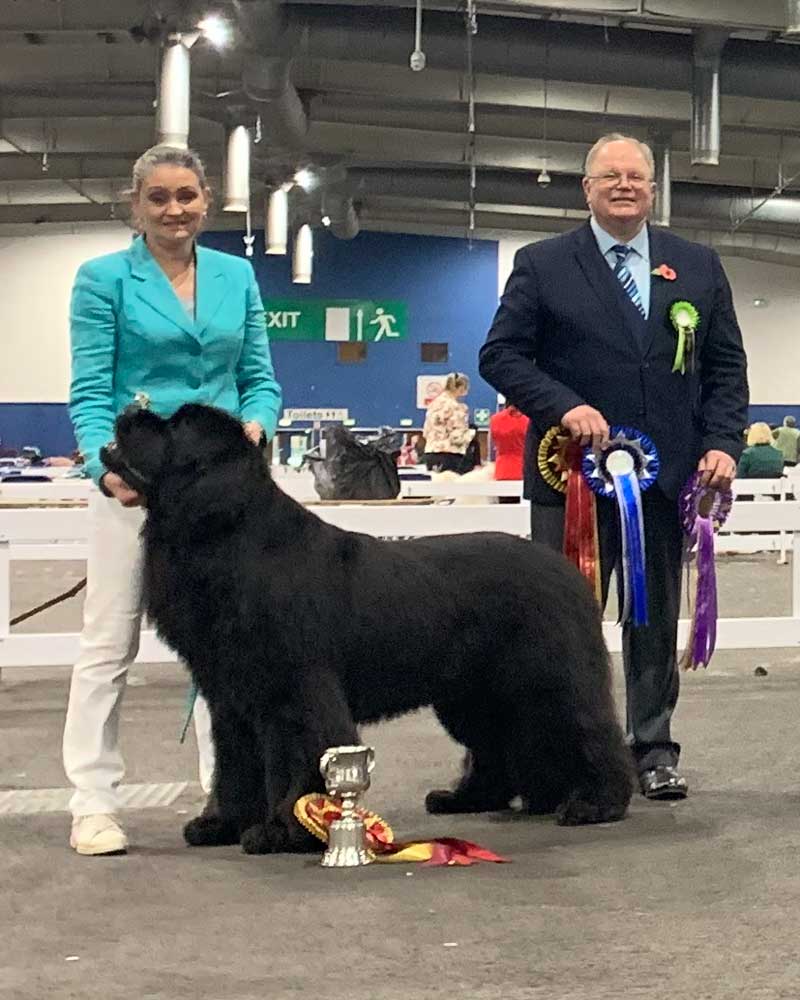 Best In Show winner, Zentaur Der Kapitain Wisperedomen JW ShCM with judge Mr. Keith Baldwin (Nightstorm)