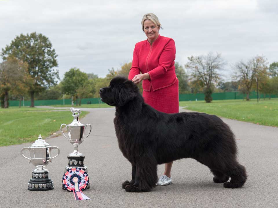 Best In Show winner, Ch. Sandbears On The Money, JW