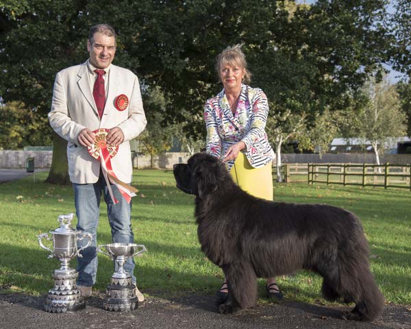 Reserve Best In Show and Best Opposite Sex In Show at the 21 October 2023 Newfoundland Club Championship Show