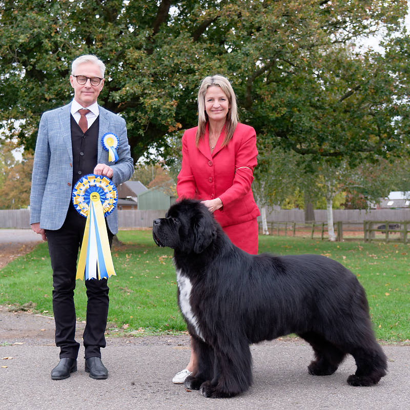 Best In Show winner Show #2