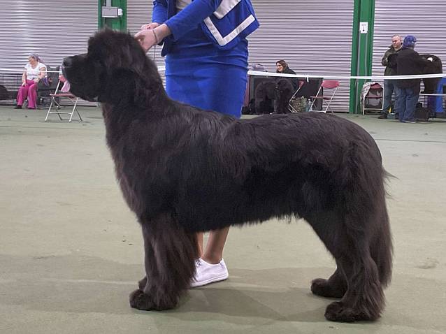 Winner of Graduate Bitch