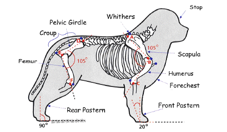 Drawing showing good construction