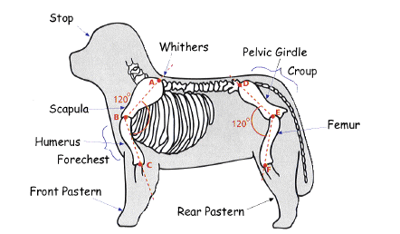 Drawing showing poor construction