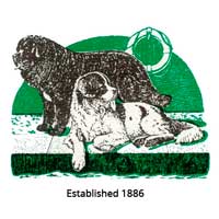 Newfoundland Club Logo