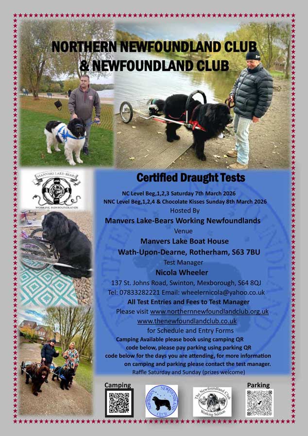 Flyer for Manvers Lake Draught Tests