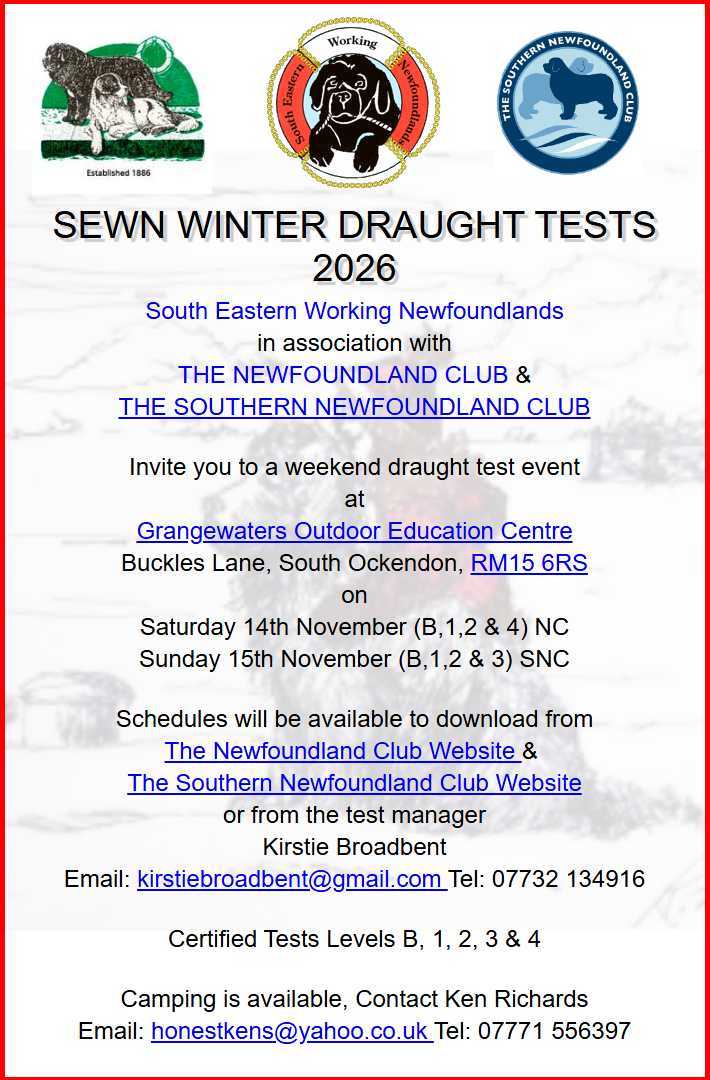 Flyer for Draught Tests