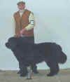 P Grad & Limit Dog.jpg (9081 bytes)