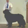 Puppy Dog 1.jpg