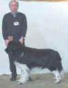Sp Open Dog L.jpg (9944 bytes)
